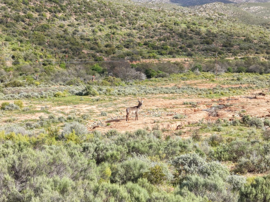 Commercial Property for Sale in Mossel Bay Rural Western Cape
